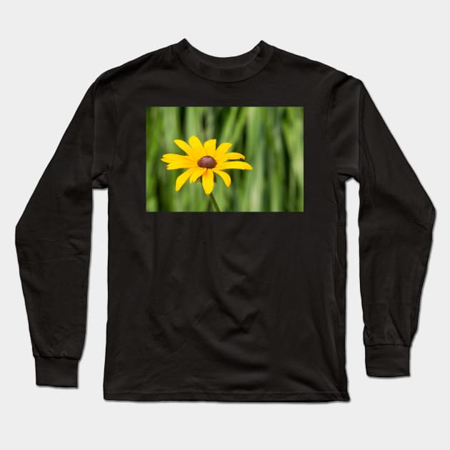 Black Eyed Susan Long Sleeve T-Shirt by EugeJ